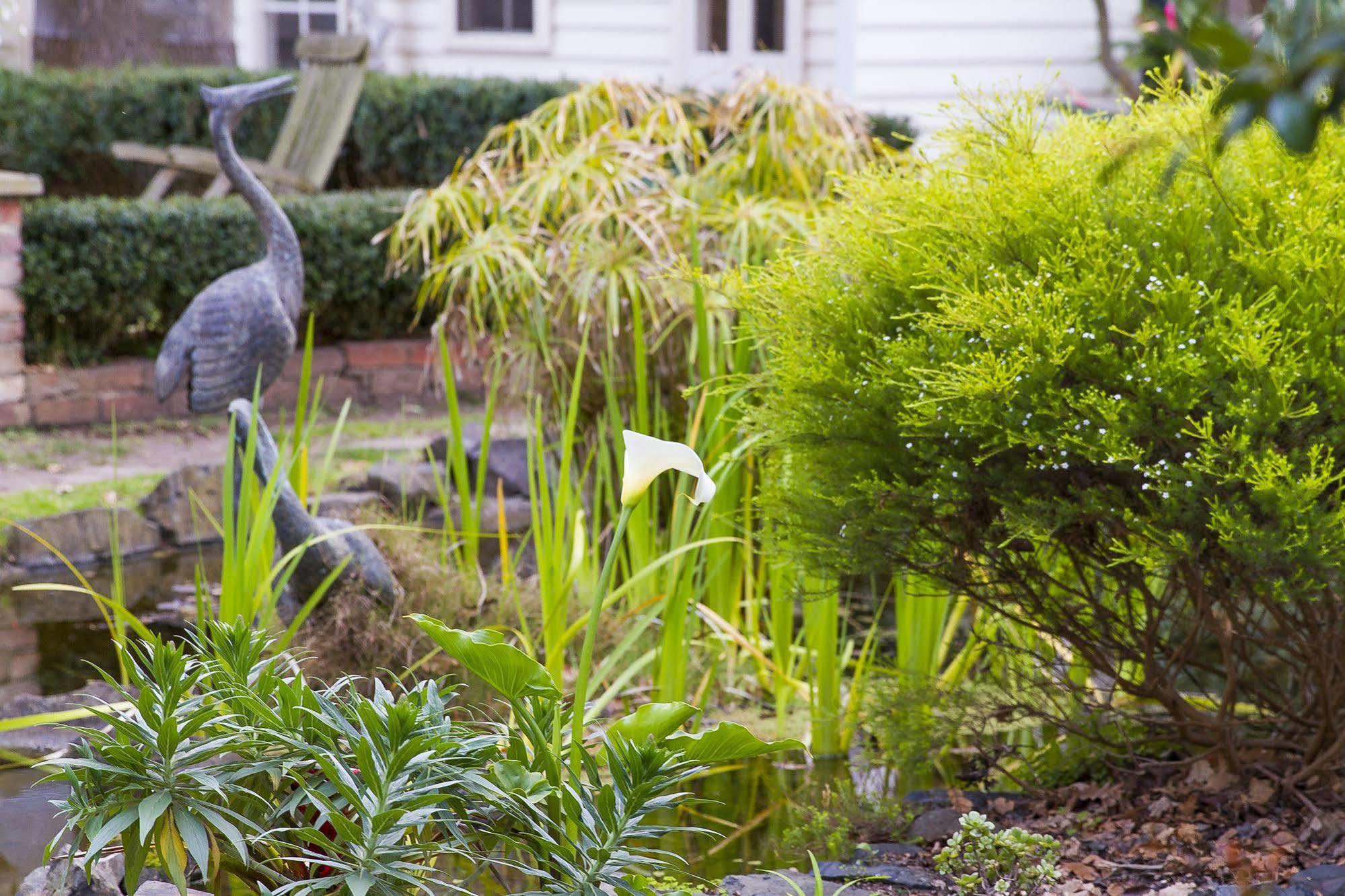 Glen Isla House Bed & Breakfast Phillip Island Cowes Eksteriør billede